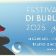 Festival di Burlamacco