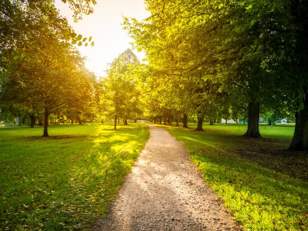 Verde Pubblico e Parchi Urbani - Fontane Ornamentali