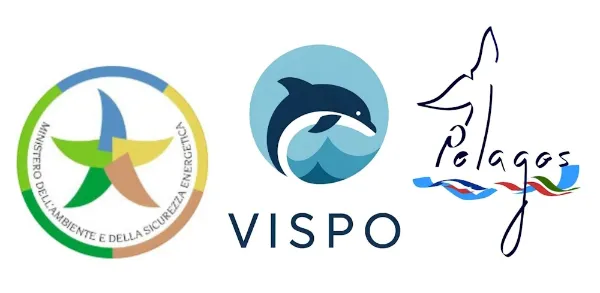 Loghi progetto Vispo